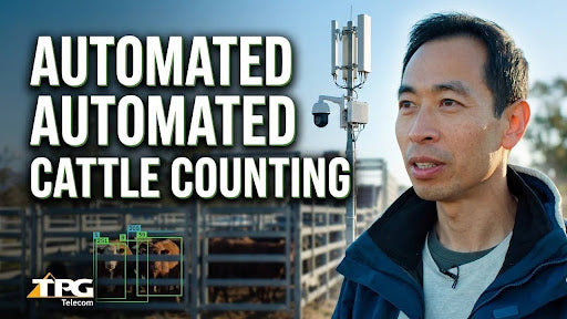 Using 5G Technology to count cows