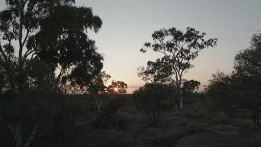 4K Sunset Over Australian Outback