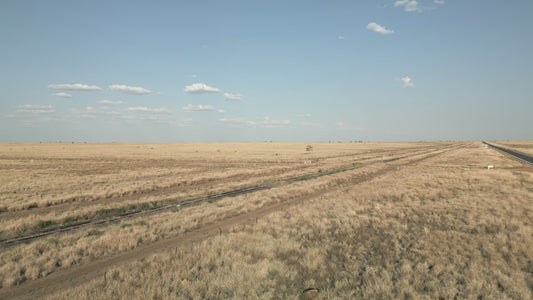 4K Outback Paddock - The Open Plain