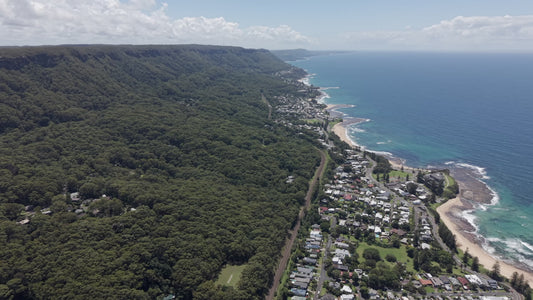 4K Forest Meets Coast - Aerial Landscape